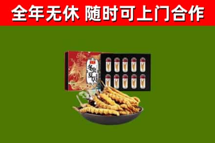 固阳回收冬虫夏草价格