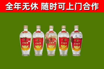 固阳烟酒回收公斤五粮液.jpg